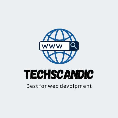 TechScandic Logo